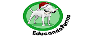 educando perros