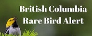 Top 20 Nature Blogs | BC Rare Bird Alert